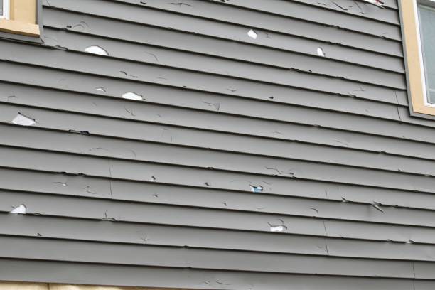 Best Historical Building Siding Restoration  in Ignacio, CO